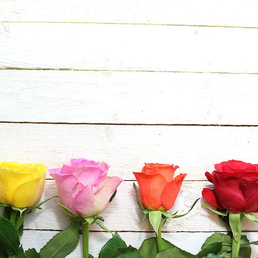 Surprise your wife with sola wood roses