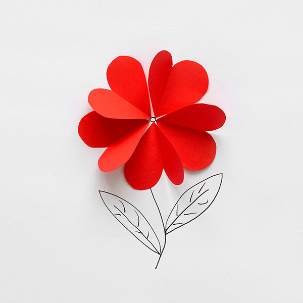 How to paint sola wood flower?