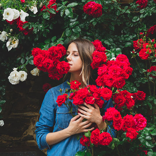 Tapioca wood flowers are natural assets