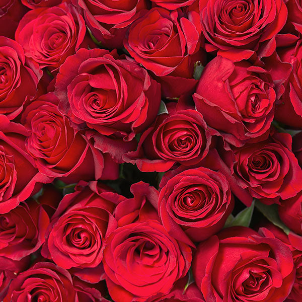 Sola wood flower making