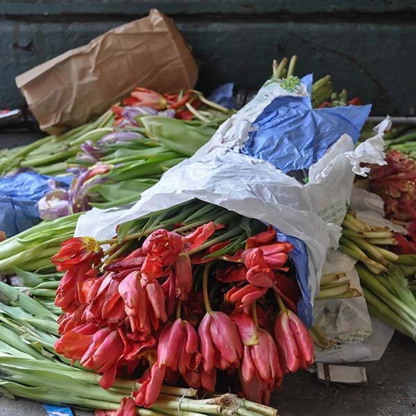 Eco-Friendly: Flowers For The Earth Conscious Individual