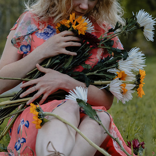 What are the best apology flowers to say sorry