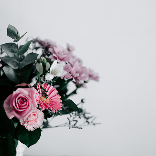 The world’s most beautiful flower