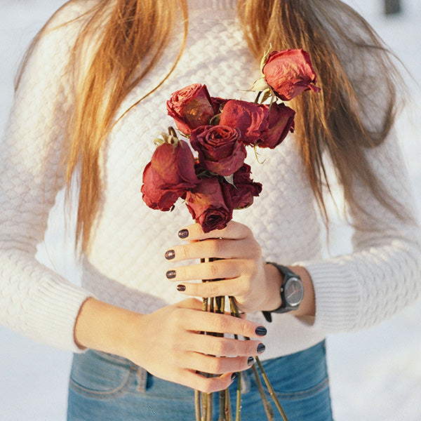 Posy flowers – all you need to know about