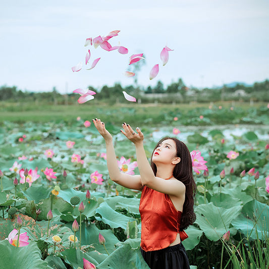 Calla Lilies – Some facts to share!