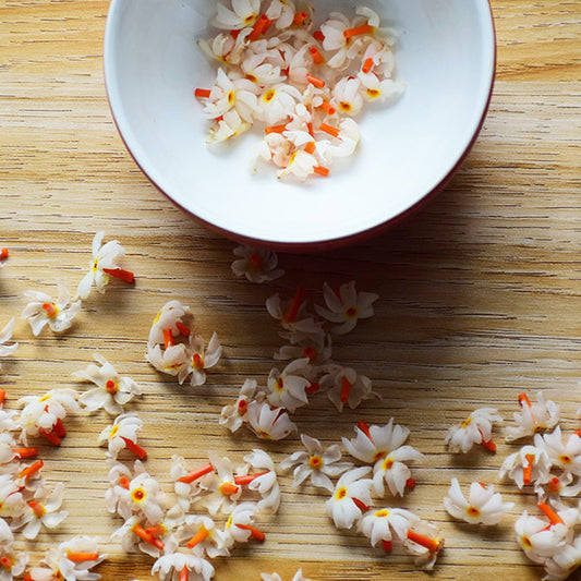 The best jasmines verities to grow inside the house