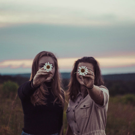 All the essential info which everybody wants to know about sola wood flowers