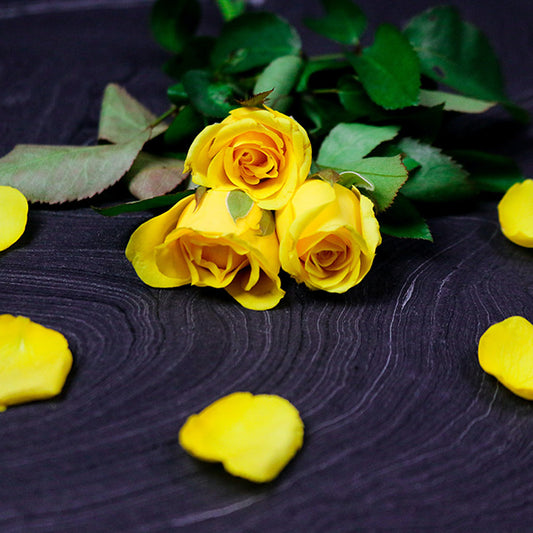 Best flowers for friendship day