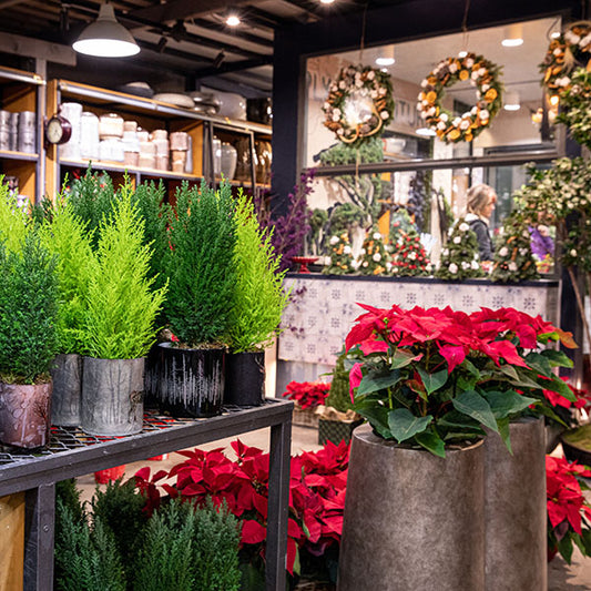 ECO FLOWER BOUQUET IS INCREASED IN DEMAND