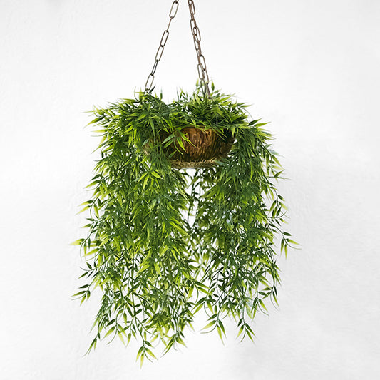 Best Ways to Renovate Your Home's Aesthetic with Greenery