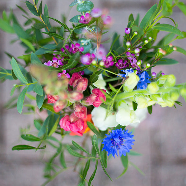 All you need to know about eucalyptus & flowers that go well with eucalyptus stems