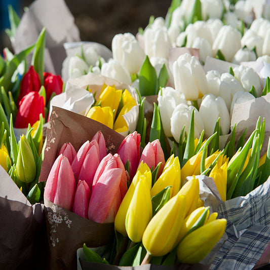 Artificial Flowers for outdoor uses