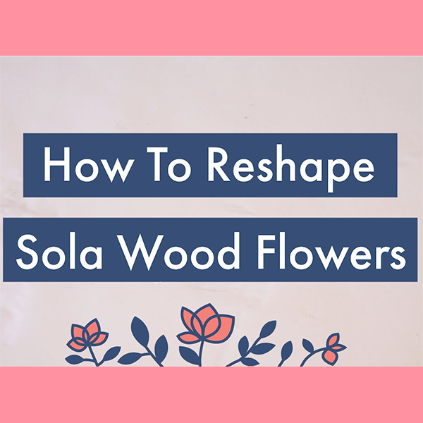 How to Reshape your Sola Wood Flowers
