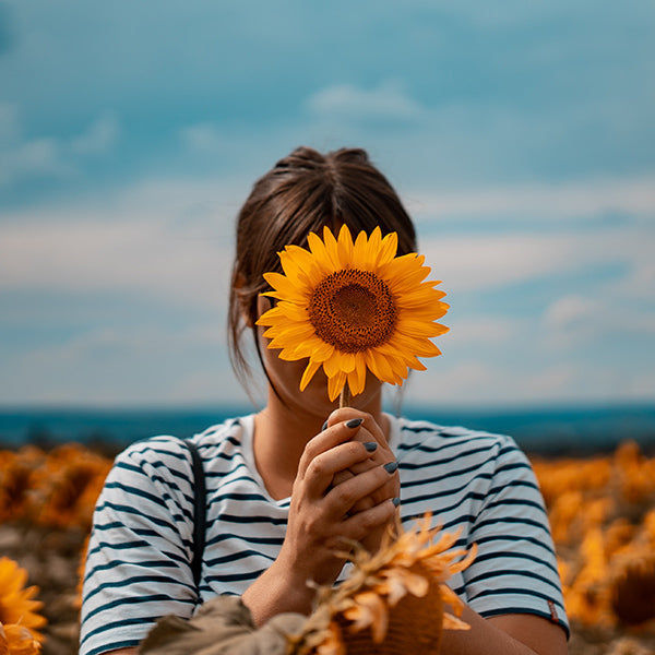 Amazing facts that you may not know about Sunflowers