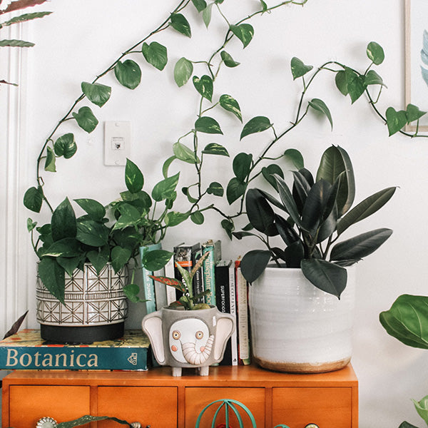 Recent Trends in Home Décor with Artificial Plants and flowers
