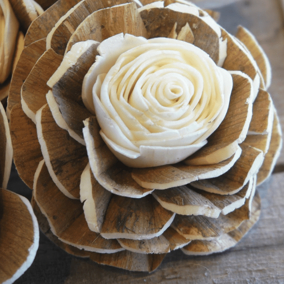 Raw sola wood flower