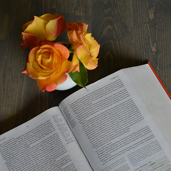 Flower books that must be a part of your book shelf!